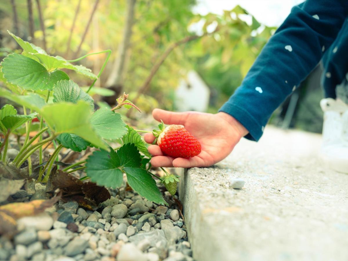 Garden Village Bled Eksteriør billede